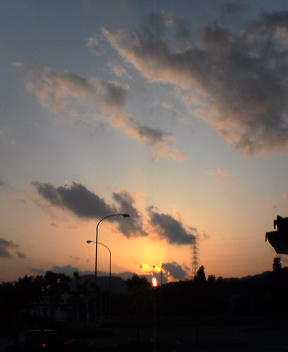f0137483_10522862.jpg