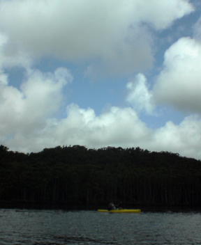 f0137483_1054098.jpg