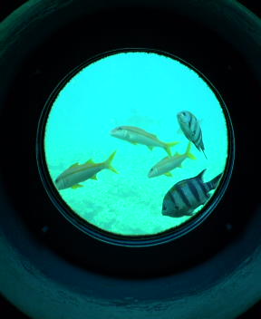 f0137483_10581366.jpg