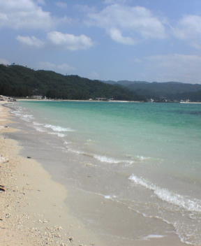 f0137483_10585117.jpg