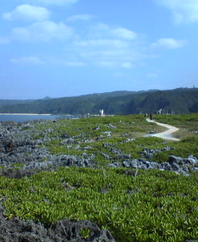 f0137483_10592788.jpg