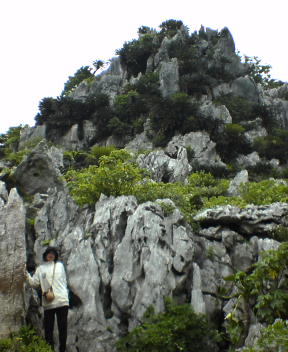 f0137483_10595481.jpg