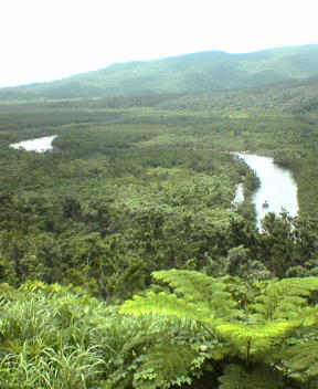 f0137483_1083388.jpg