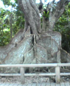f0137483_1091296.jpg