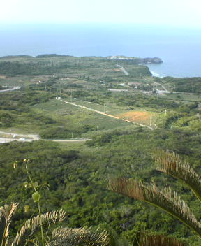 f0137483_11036.jpg
