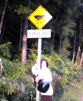 f0137483_1103681.jpg