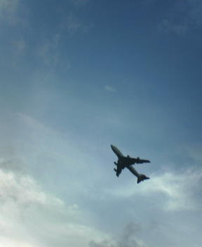 f0137483_11144092.jpg