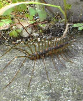 f0137483_11332188.jpg