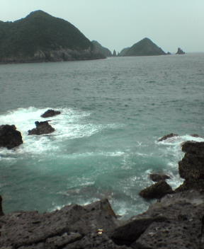 f0137483_11433828.jpg