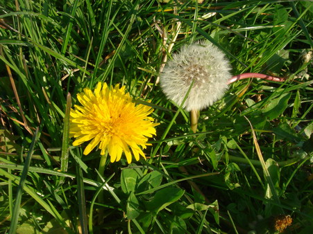 a0247585_6203046.jpg