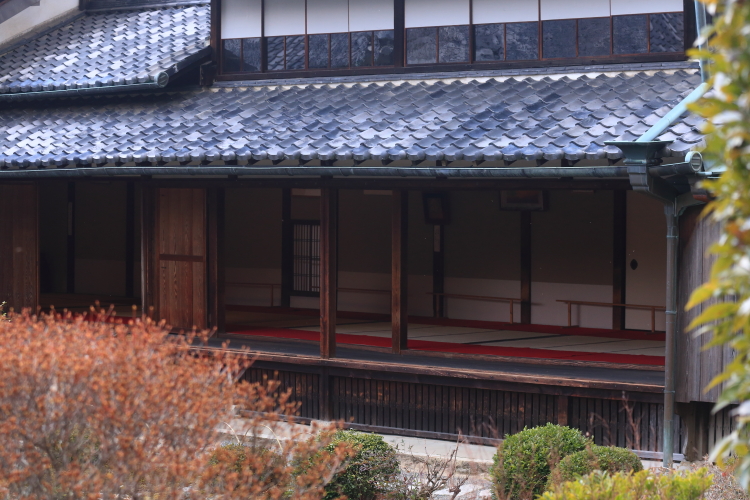 e0051888_68778.jpg