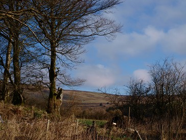b0110999_1945321.jpg