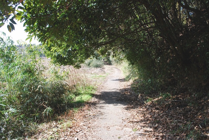 e0025300_20144936.jpg