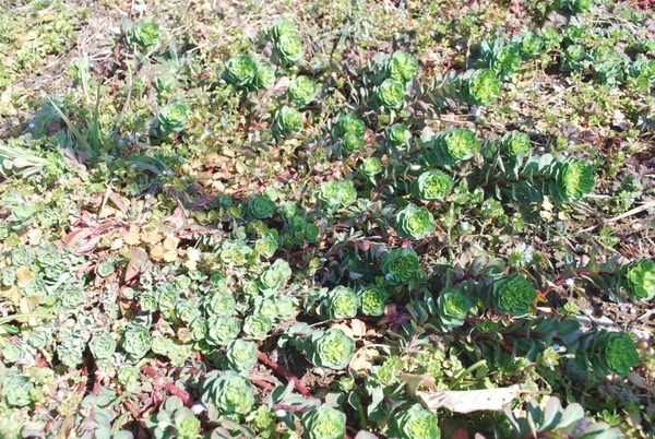e0025300_20214630.jpg