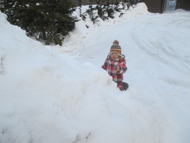 f0202703_2325389.jpg