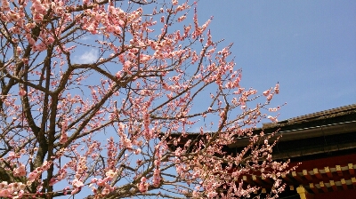 a0216805_1862217.jpg