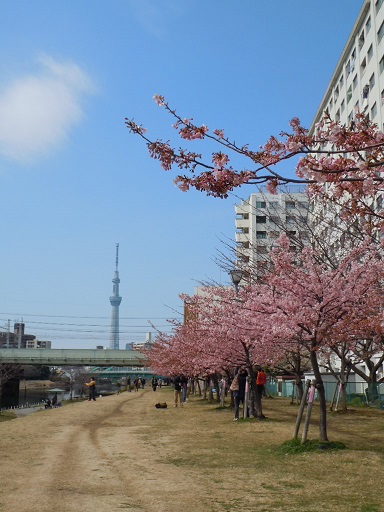 c0101913_12124478.jpg