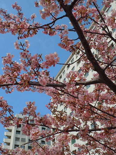c0101913_12125434.jpg