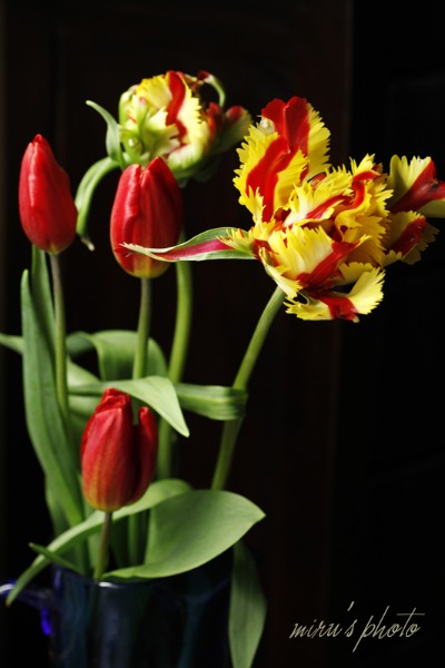 c0037519_1564561.jpg