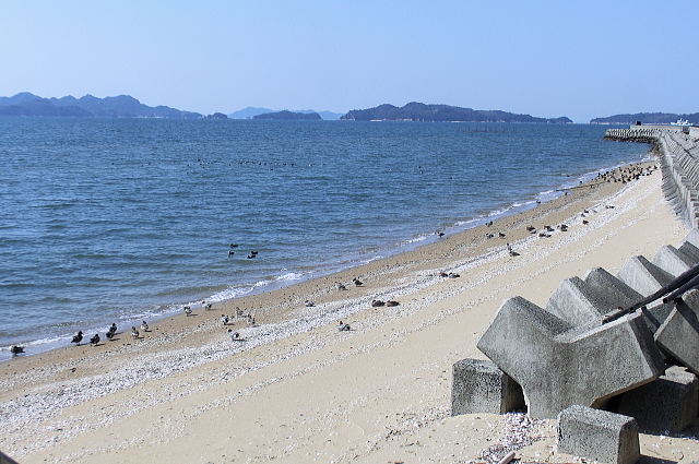 f0248120_6513683.jpg