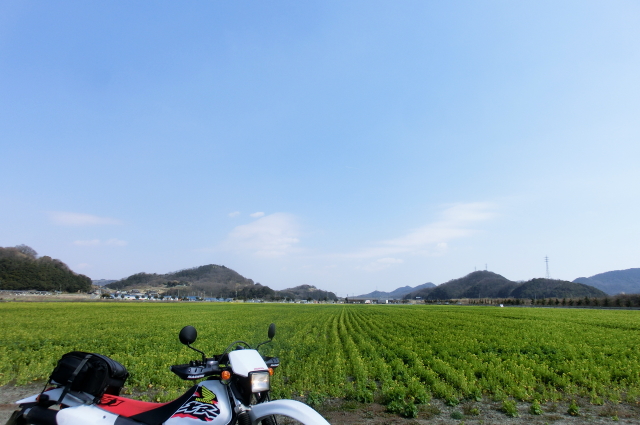 f0248120_6515191.jpg
