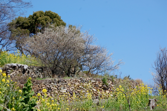 f0248120_7193549.jpg