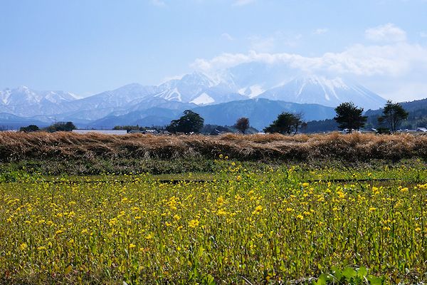 f0007926_10144761.jpg