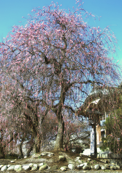 f0237034_7104322.jpg