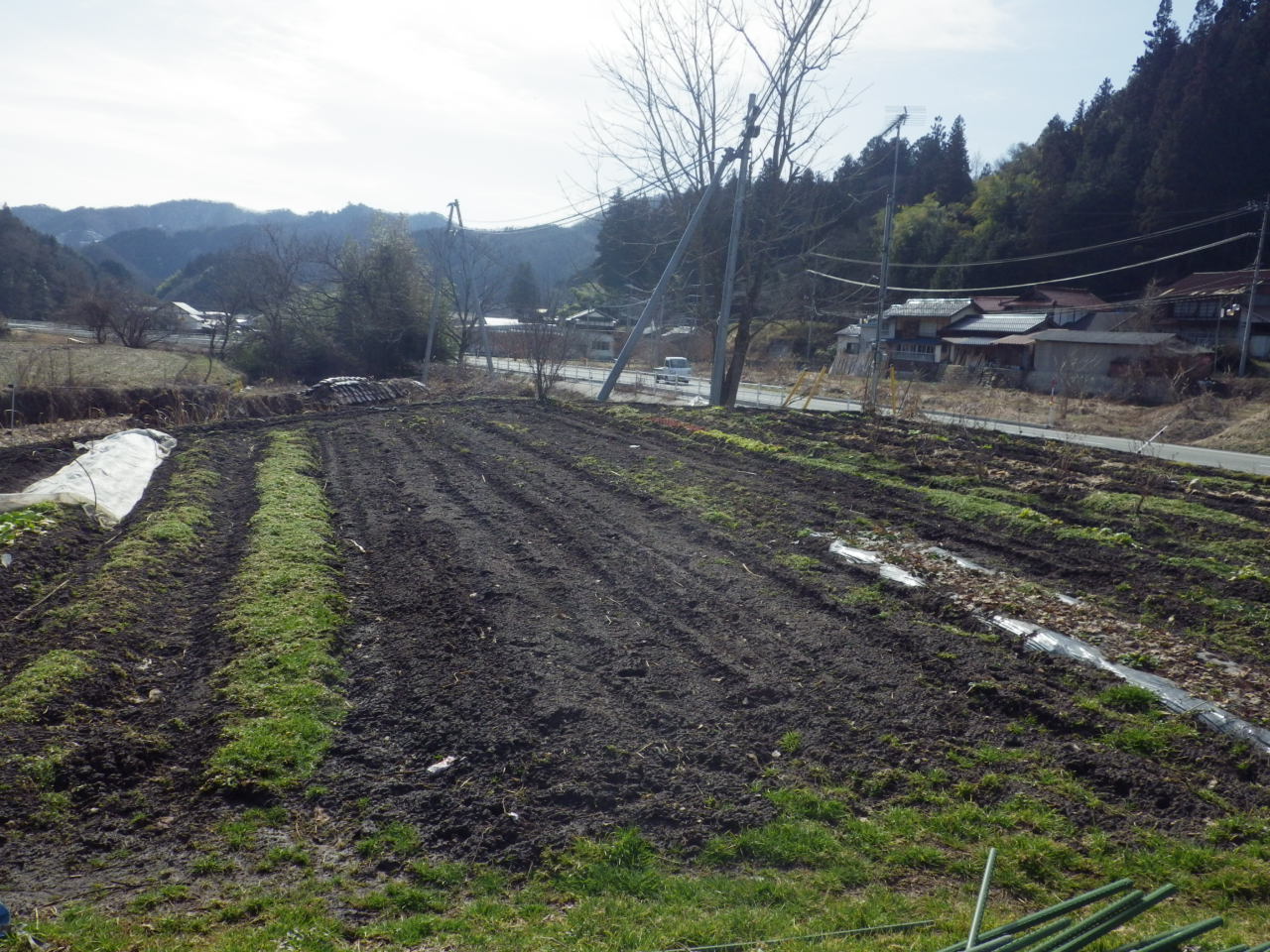 c0300035_15351315.jpg