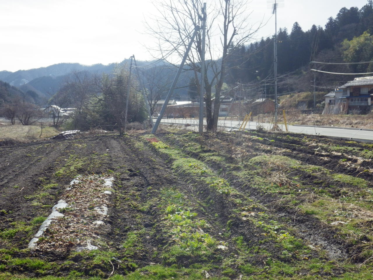 c0300035_15353736.jpg