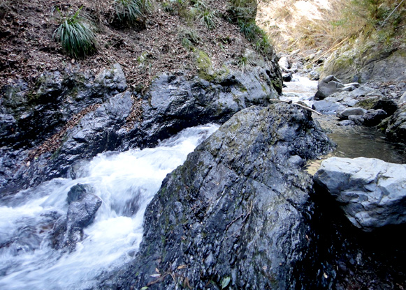 a0056140_16442100.jpg