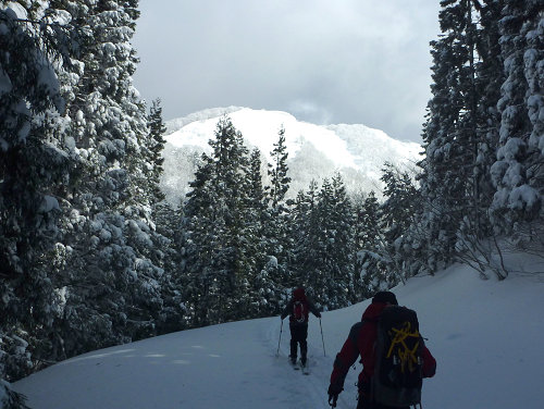 c0081645_21271322.jpg
