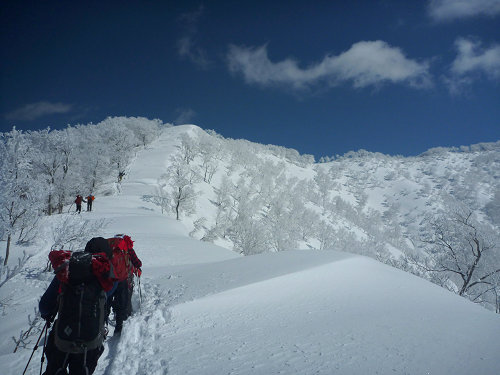 c0081645_21341411.jpg