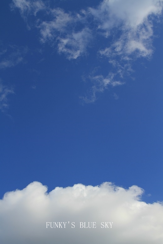 c0145250_10251380.jpg