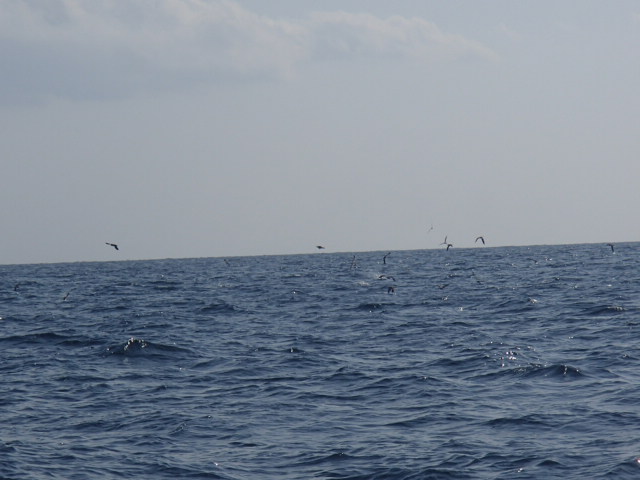 a0248152_1859121.jpg
