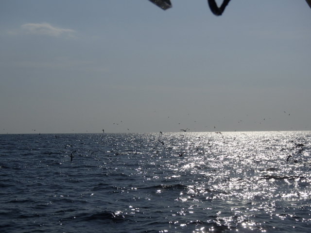 a0248152_18595363.jpg