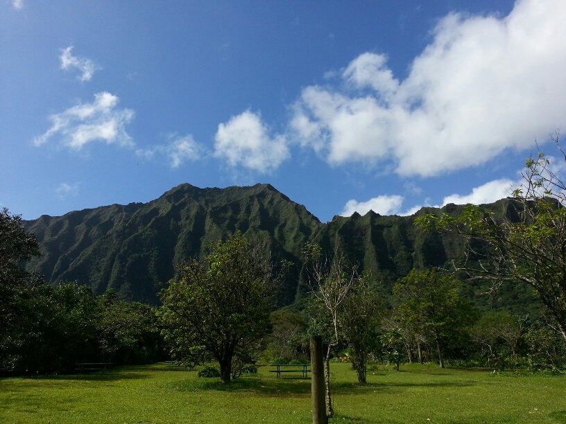 b0126453_502369.jpg