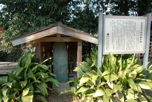 e0018762_1013458.jpg