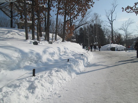 d0029363_13231199.jpg