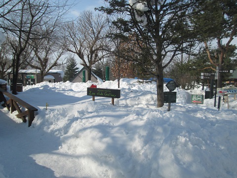 d0029363_13243859.jpg