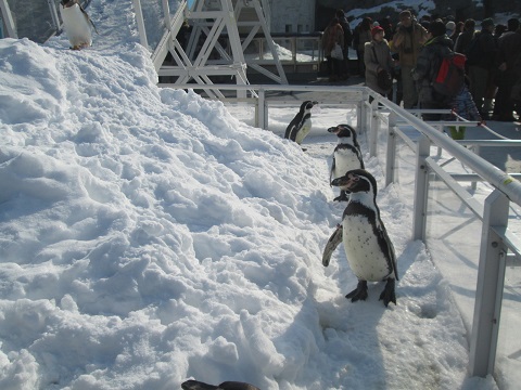 d0029363_13244644.jpg