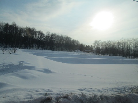d0029363_17404630.jpg