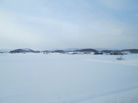 d0029363_1740542.jpg