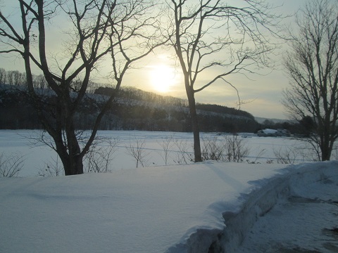 d0029363_17414069.jpg