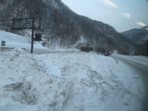 d0029363_1742195.jpg