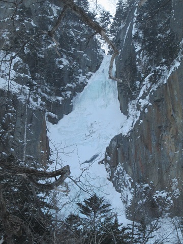 d0029363_1742225.jpg