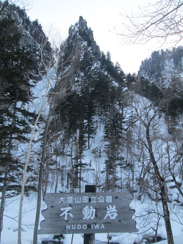 d0029363_17425066.jpg