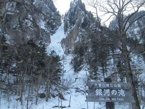 d0029363_1742935.jpg