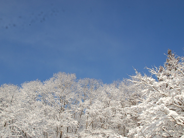 f0134564_0434329.jpg