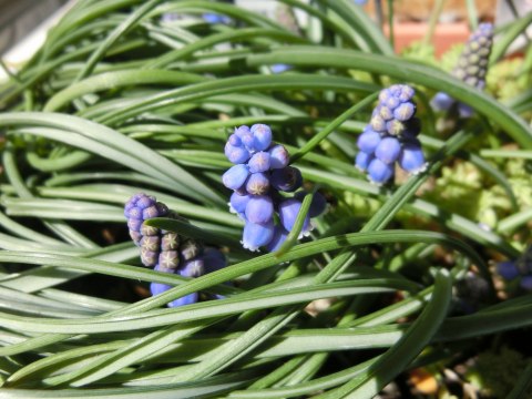 e0045768_2234599.jpg